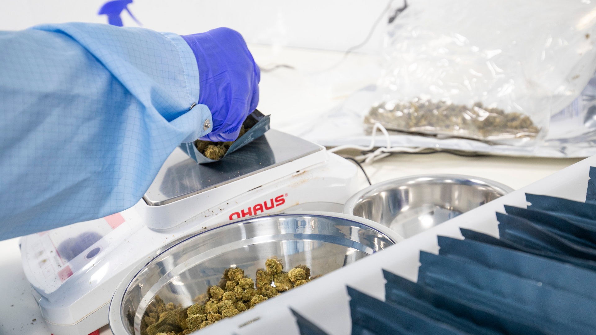 Curaleaf PPX Hero (3)